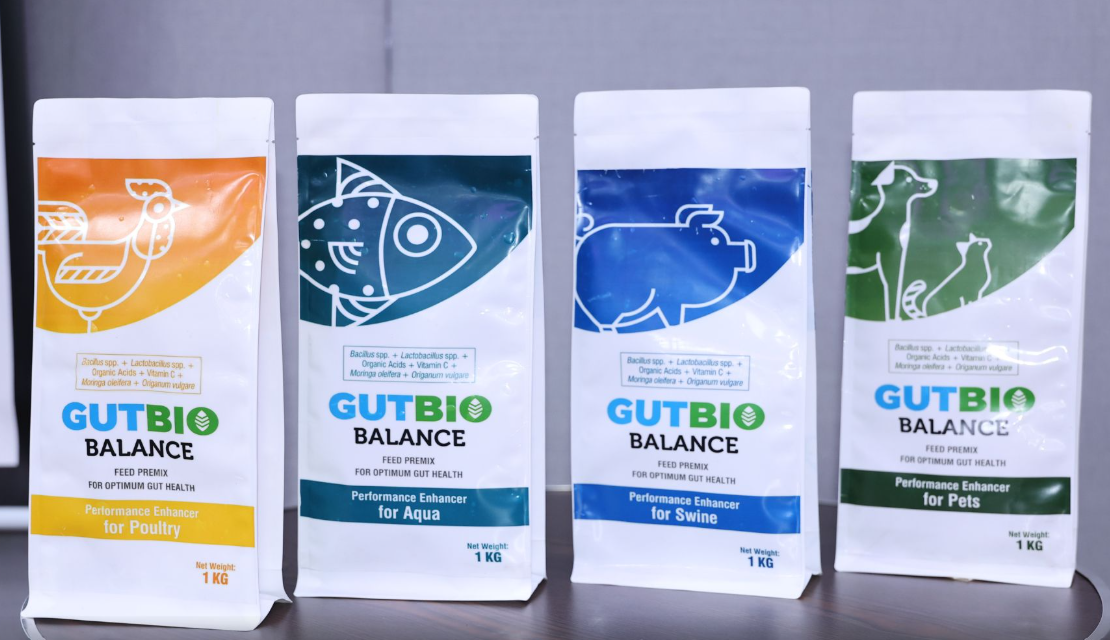 gutbio